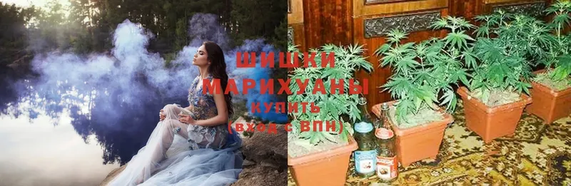 Марихуана LSD WEED  где можно купить   Иннополис 